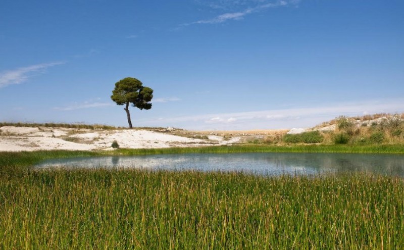 Walking in Jumilla: the Cañada Real from Murcia to Cuenca