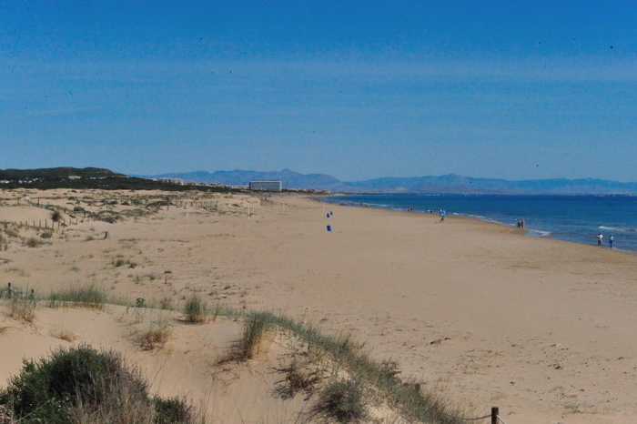 The beaches of Torrevieja: an overview