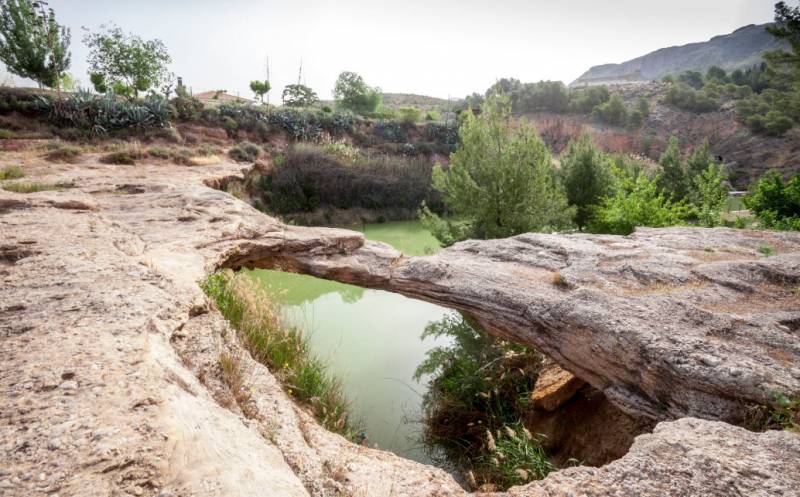 Jumilla Wine Route, Bodegas Ribera del Juá