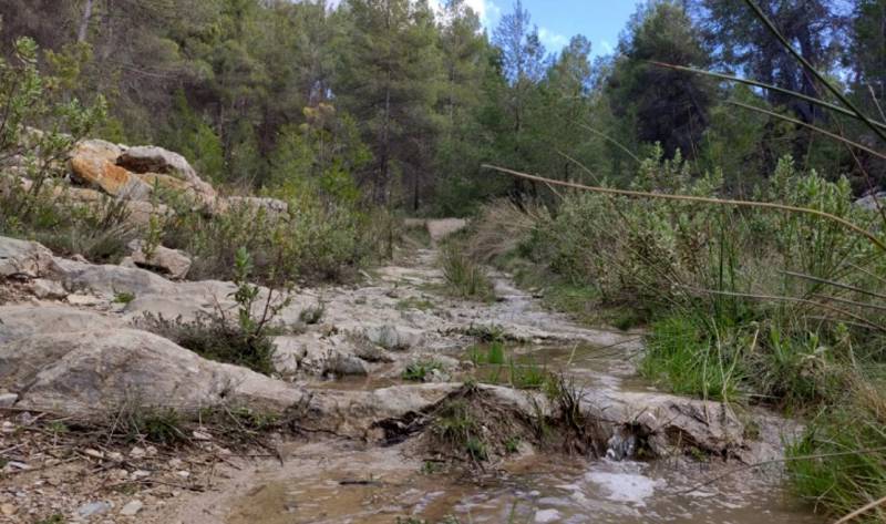 Mountain biking in the Lorca countryside, the Los Tornajos route in Avilés