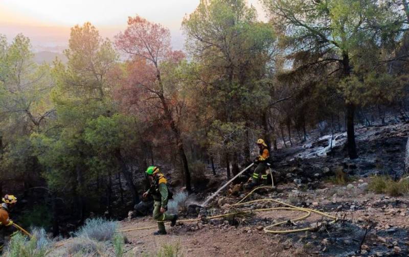 El Valle wildfire extinguished after burning through 11 hectares of land