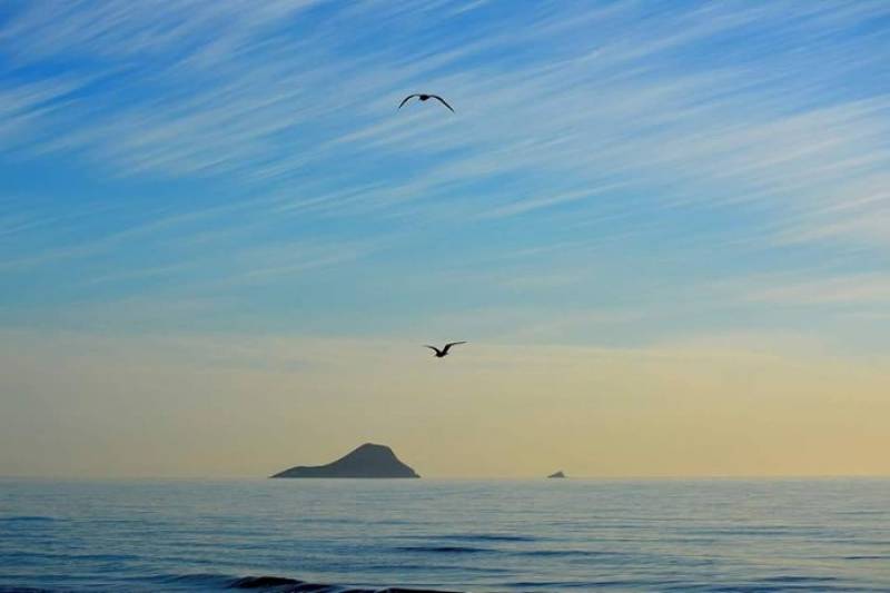 Until September 15 Boat tours of Isla Grosa in the Mediterranean off the coast of La Manga