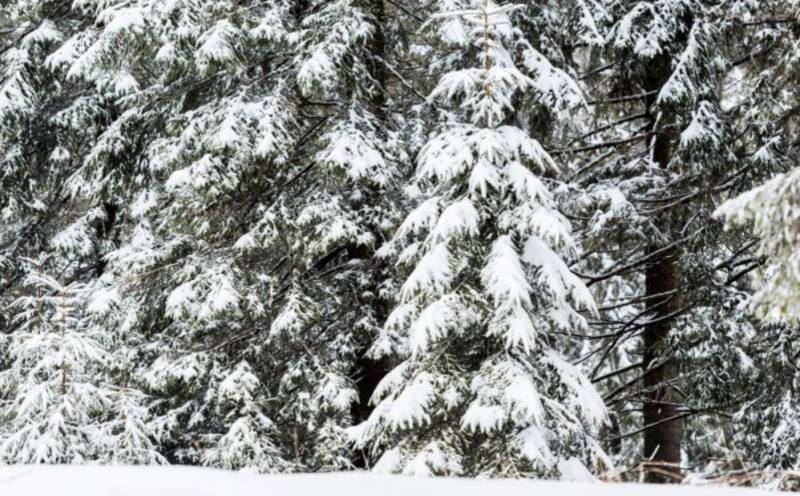 Aemet predicts the weather in Spain this winter after torrential autumn