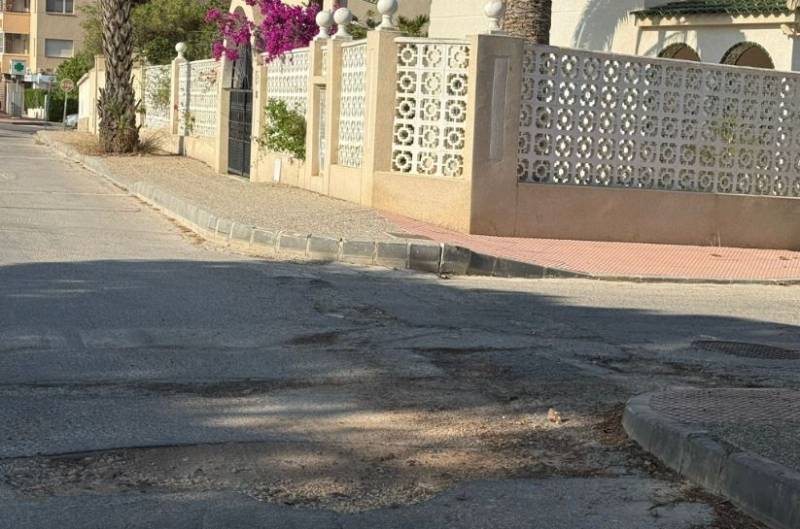 Potholes, weeds and broken bins: Orihuela Costa residents fed up with neglect