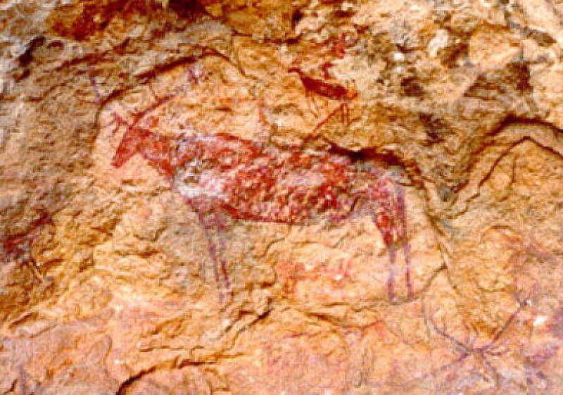 A selection of ideas for a great day out in Moratalla!