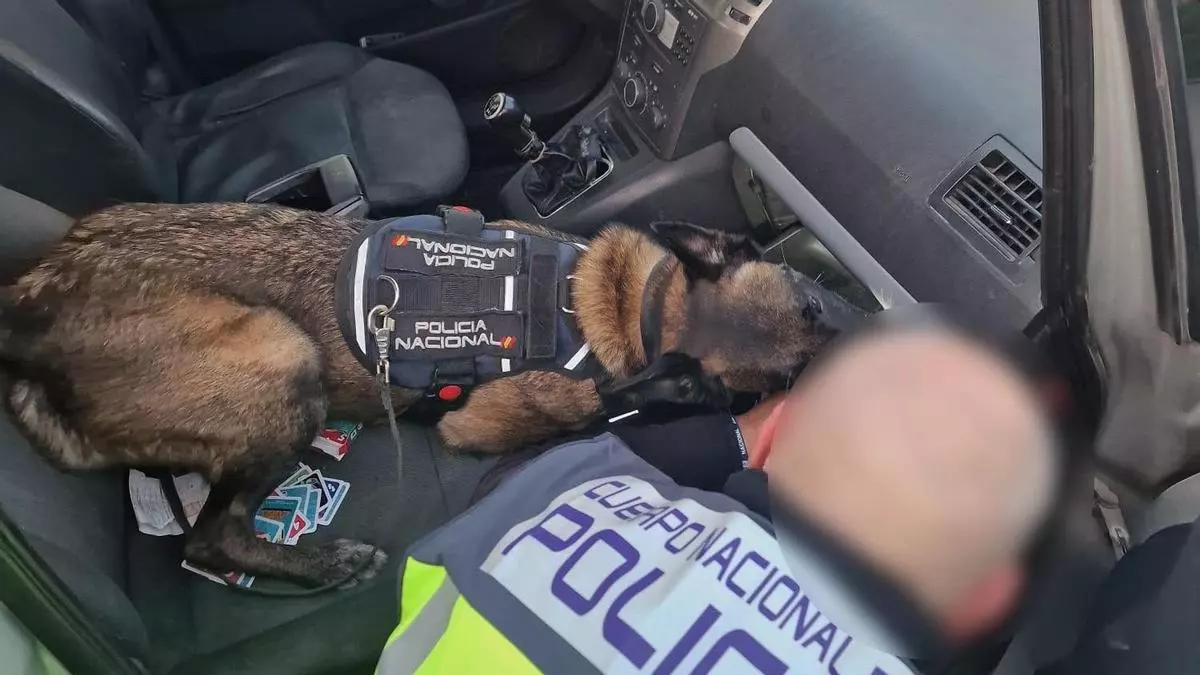 Man arrested in Benidorm after cocaine found hidden in his clothes near English area