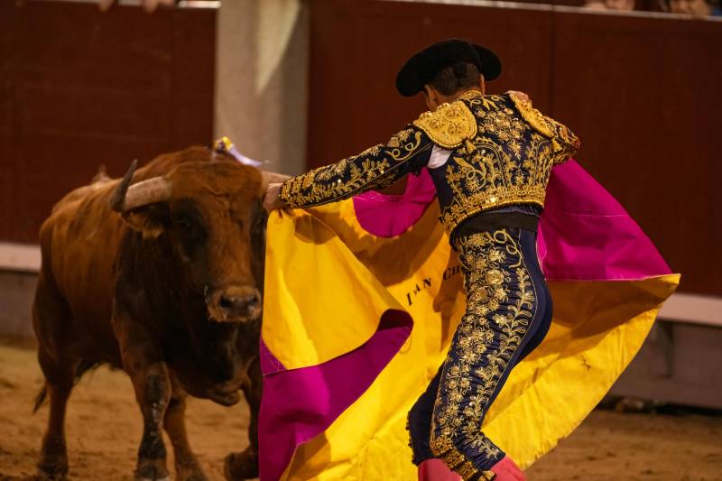 Bullfighting is having a resurgence in Málaga… and the Germans are leading the charge