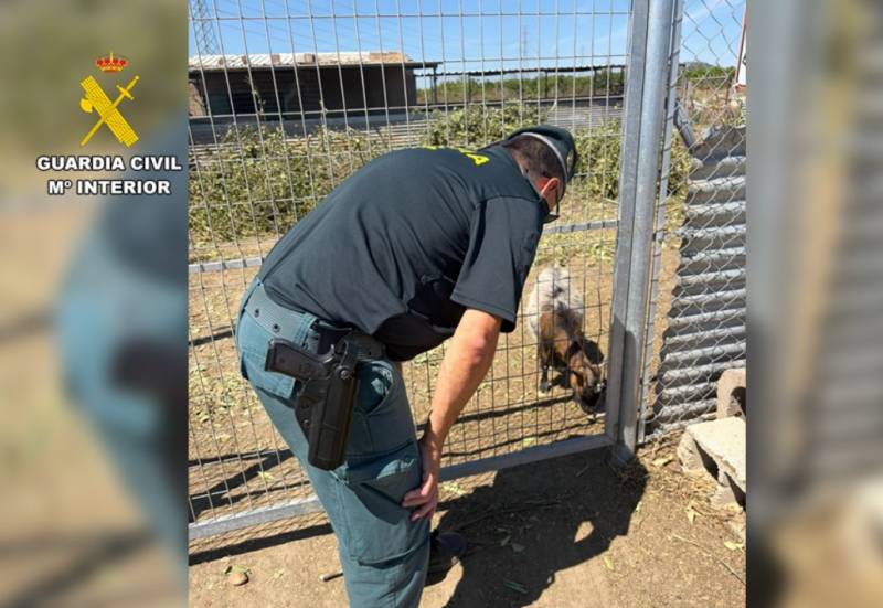 Hidden herd of 29 sheep and goats seized from San Miguel de Salinas farm
