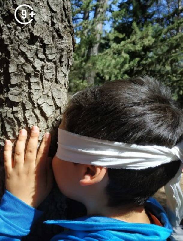 October 31 Free family activity in the mountains of Sierra Espuña