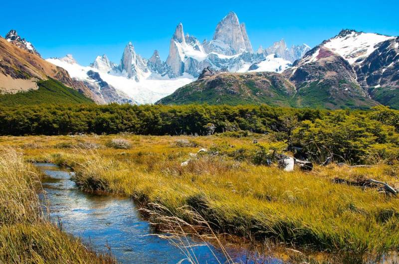 Expatriation in Argentina: Navigating Healthcare and Insurance for Expats