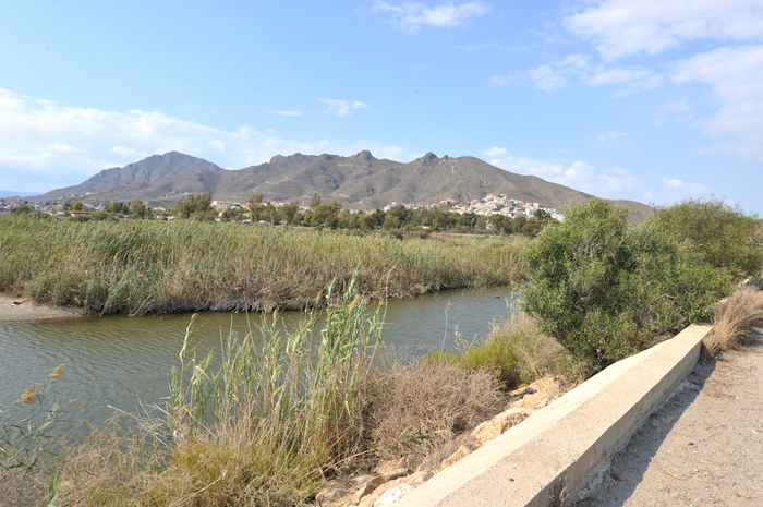 Mazarrón beaches: Playa de las Moreras, dog friendly beach