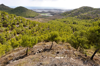 Sierra de las Herrerías, Leiva, Mazarrón